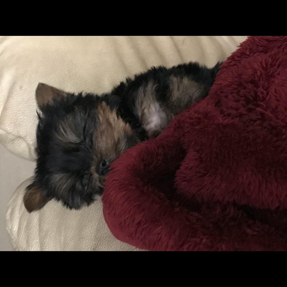 Meet your Posher, Alyssa